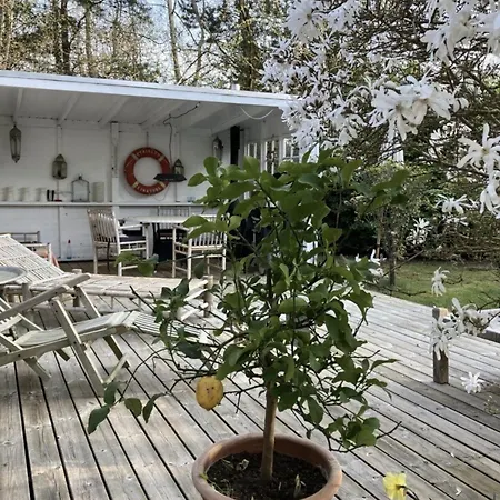 Charming And Cozy Summerhouse In גיללייה